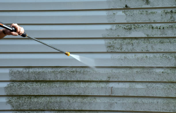 Best Gutter Cleaning  in Woodlake, VA